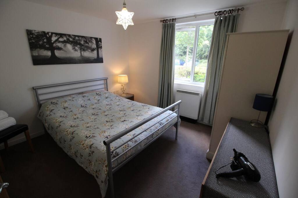3 Bedroom Flat 10 Mins Walk To Bay And City Center Free Parking Cardiff Eksteriør bilde