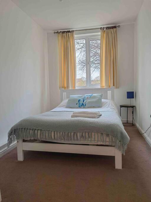 3 Bedroom Flat 10 Mins Walk To Bay And City Center Free Parking Cardiff Eksteriør bilde